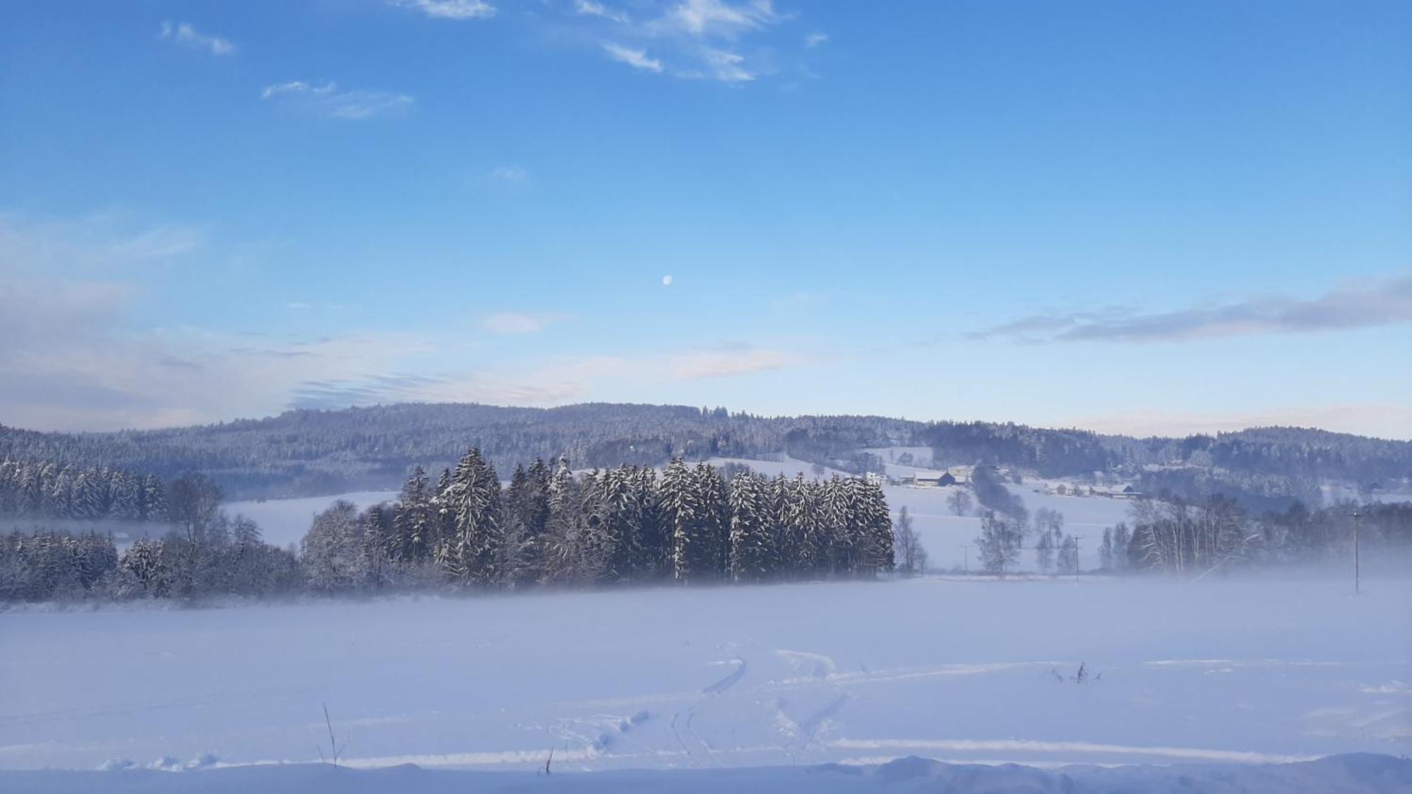 Zum Bergbauern Hotel Waidhaus Buitenkant foto